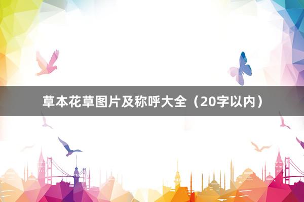 草本花草图片及称呼大全（20字以内）