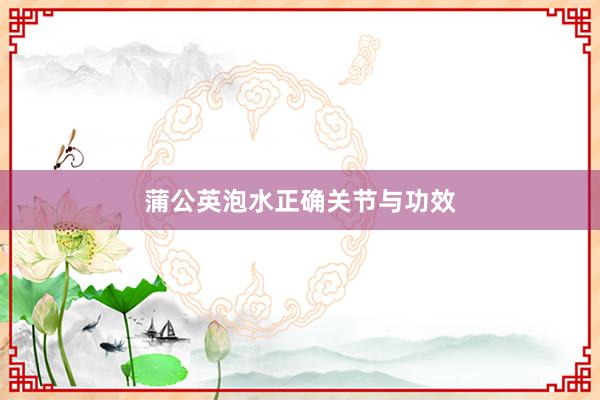 蒲公英泡水正确关节与功效