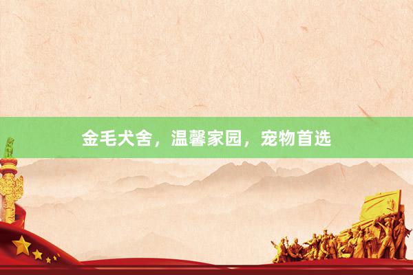 金毛犬舍，温馨家园，宠物首选