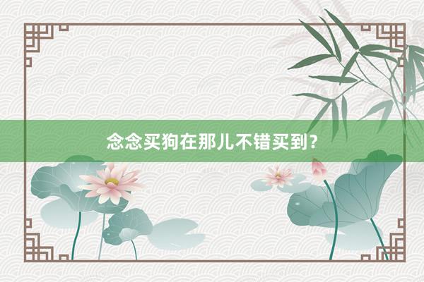 念念买狗在那儿不错买到？