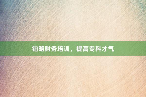 铂略财务培训，提高专科才气